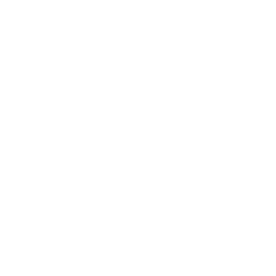 Dr. Kimberly Martin